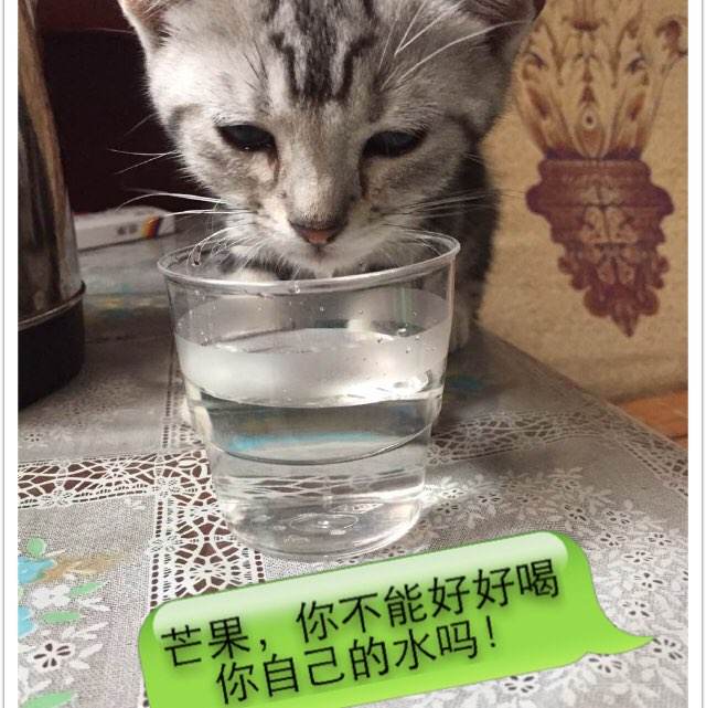 办假的凯尼恩学院文凭毕业证